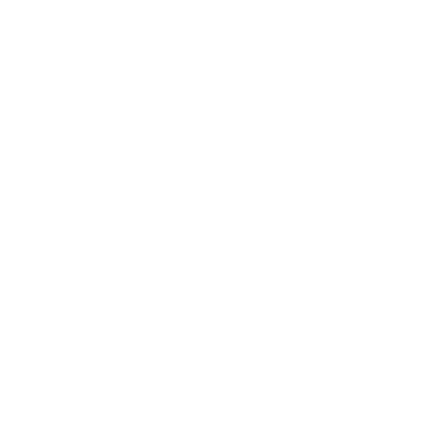 Icono-seguridad-y-bienestar